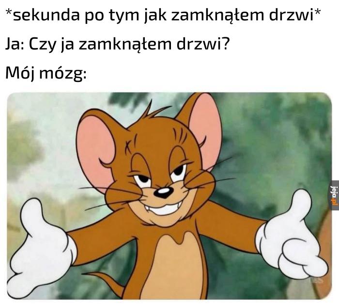 Zawsze