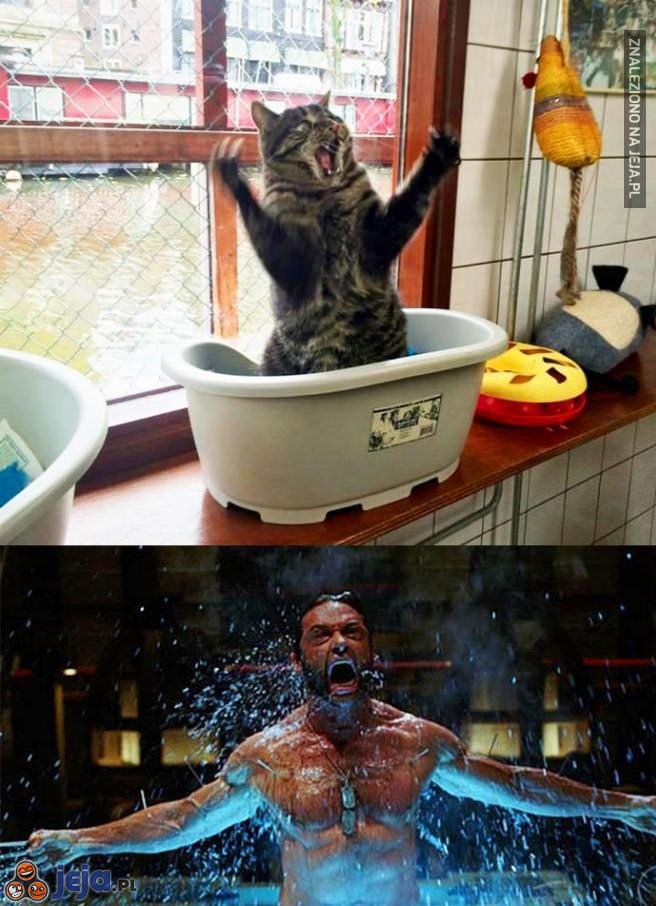 Jestem Wolverinem!