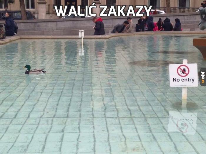 Walić zakazy