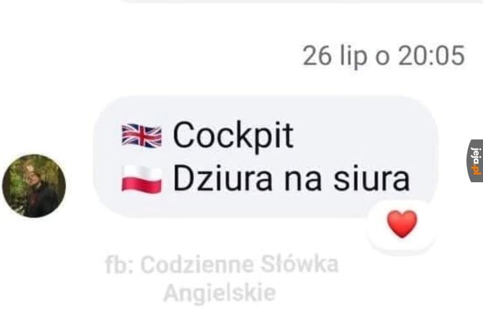 Polacy nie gęsi