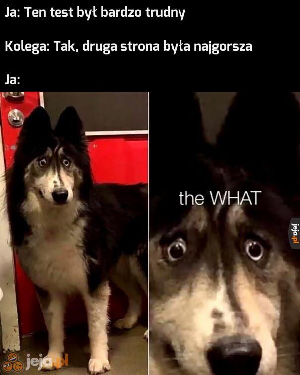 Że co drugie?!