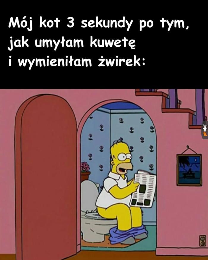 Tylko na to czekał