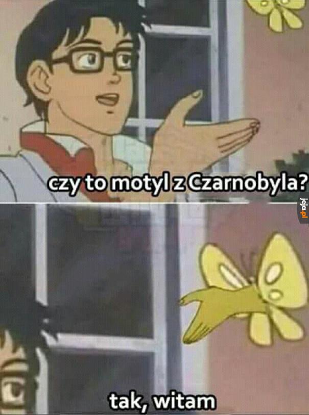 Witam