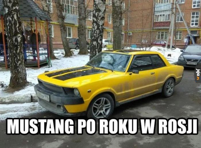Mustang, czy to Ty?