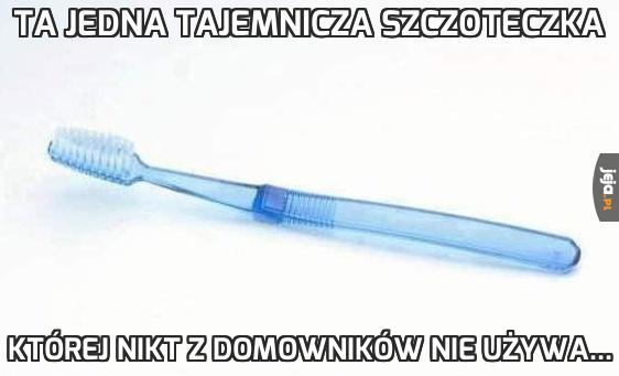 Ta jedna tajemnicza szczoteczka