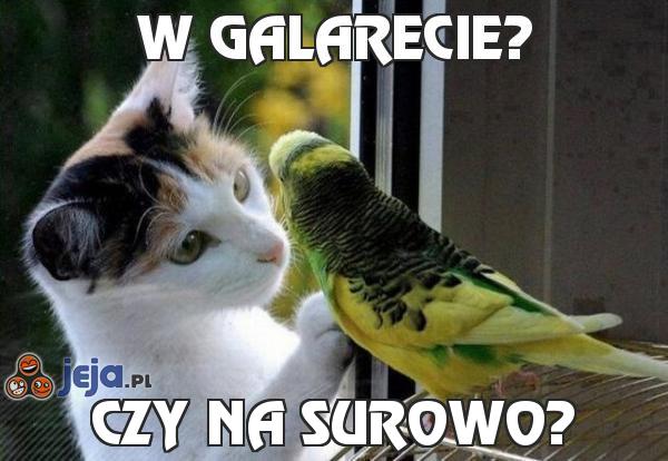 W galarecie?