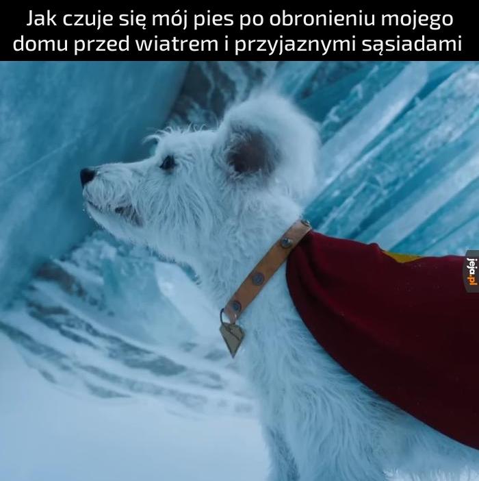 Moja bohaterka