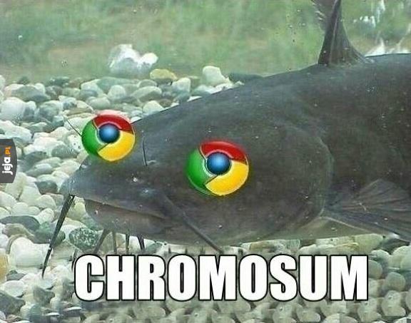 Chromosum