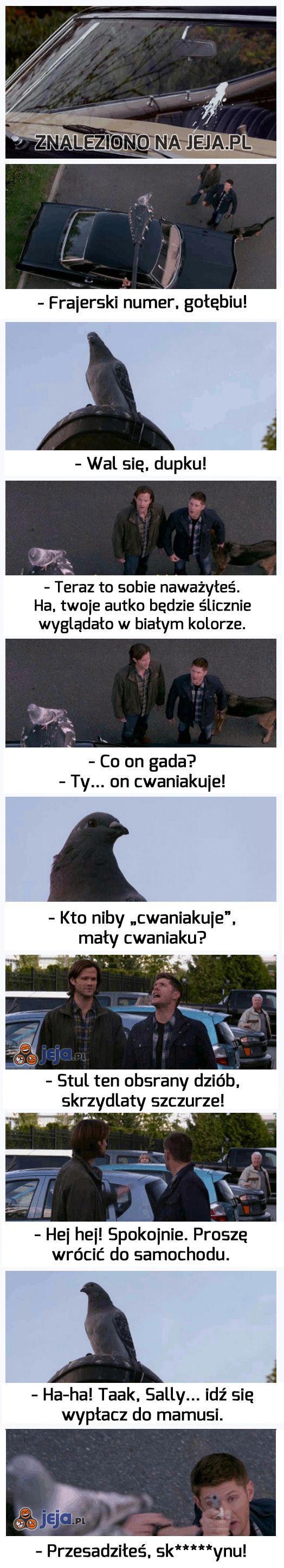 Tak się rozwiązuje problemy w Ameryce!