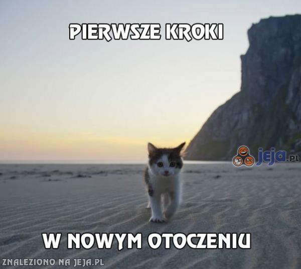 Pierwsze kroki w nowym otoczeniu