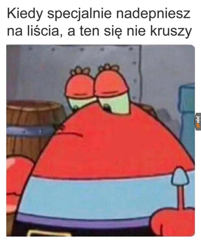 Podziękuję za taką jesień