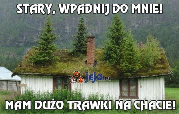 Stary, wpadnij do mnie!