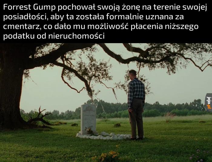 Nawet niepełnosprawni intelektualnie milionerzy unikają podatków, a ty nadal nie?