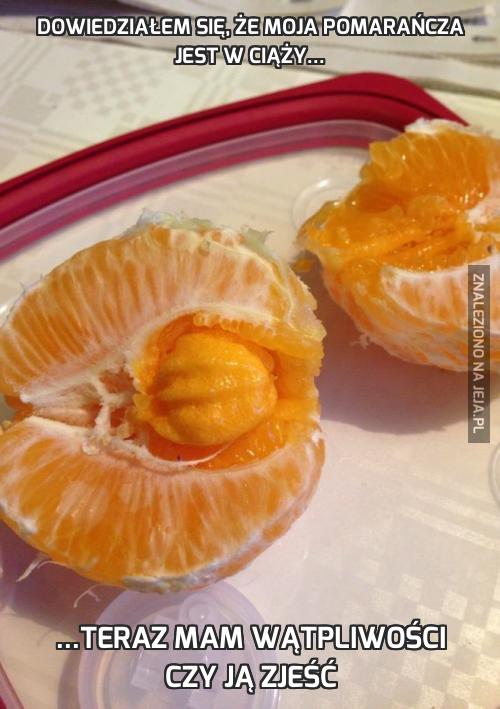 Dowiedziałem się, że moja pomarańcza jest w ciąży...