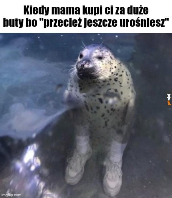 Wyglądam jakbym miała płetwy