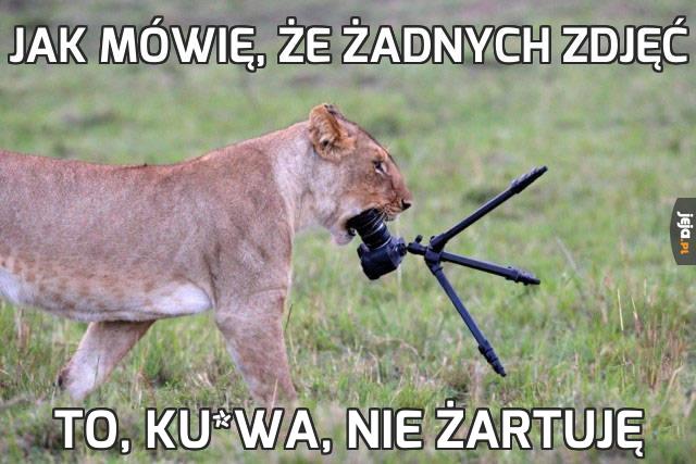 Jak mówię, że żadnych zdjęć
