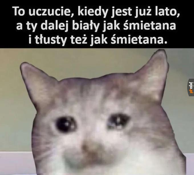 Jestem śmietanką