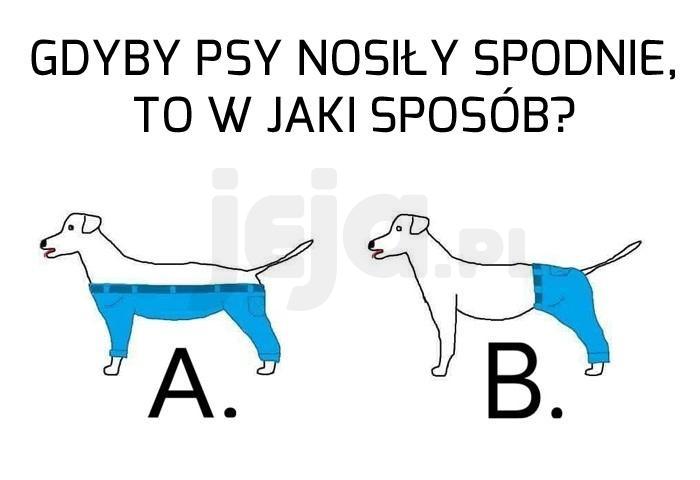 To poważne pytanie