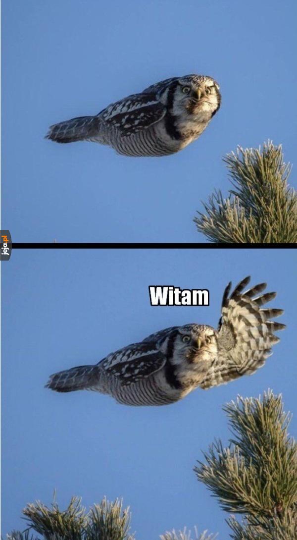 Witam serdecznie