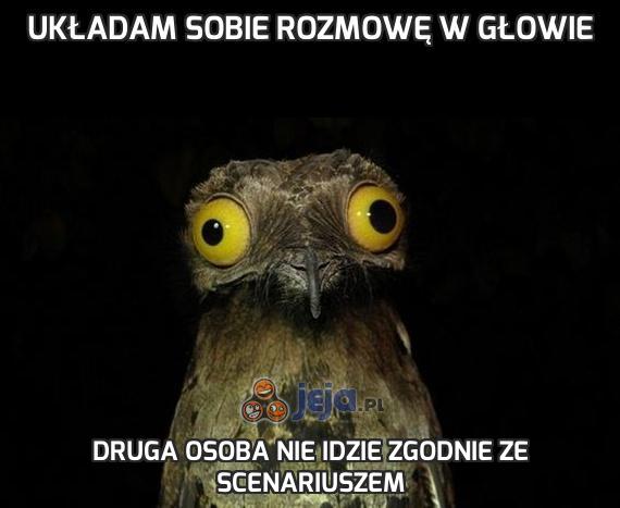 Układam sobie rozmowę w głowie