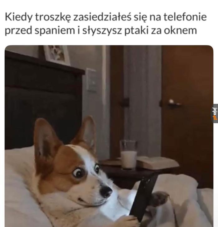 Już rano??