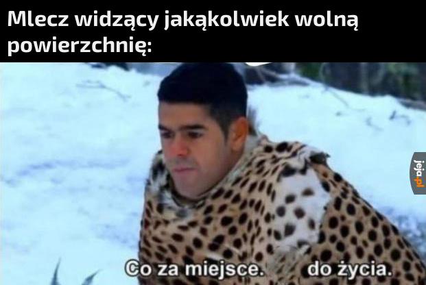 Mało wybredny ten mlecz