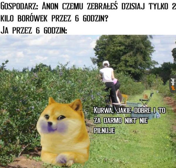 Praca marzeń