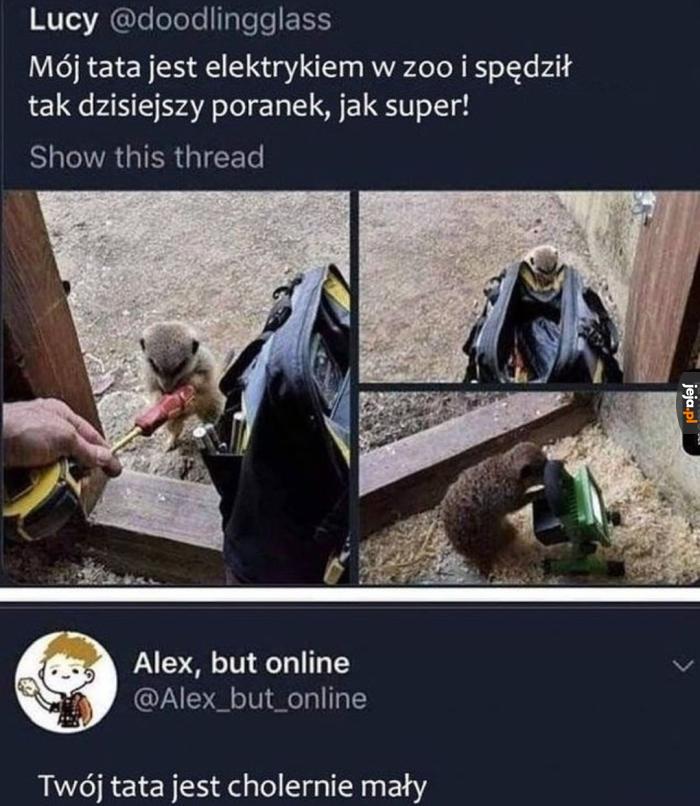 Słodziak