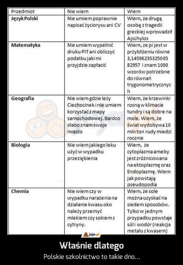 Właśnie dlatego