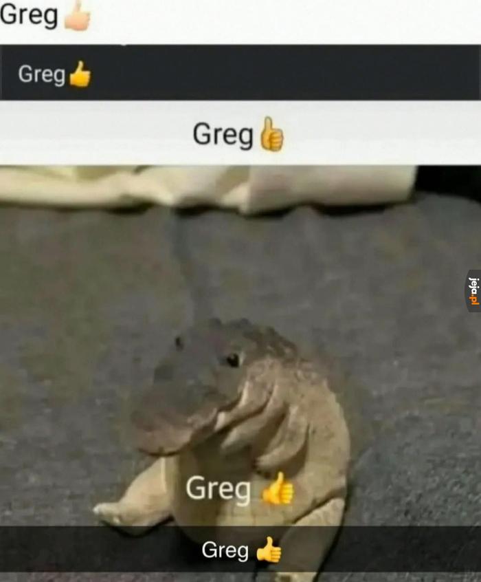 Greg👍