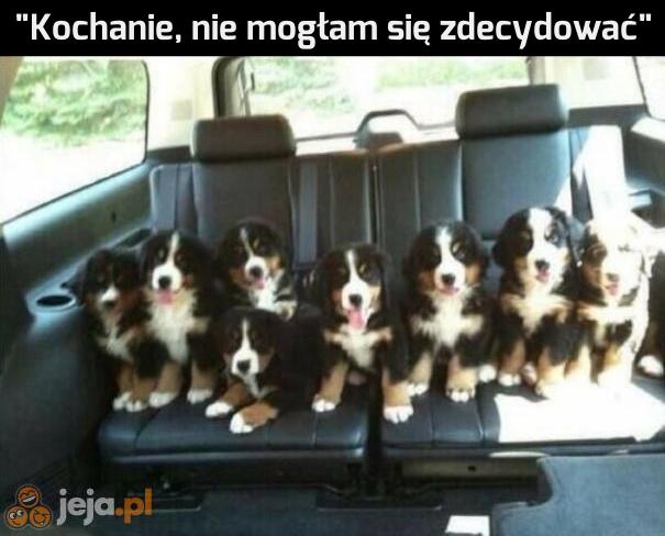 Kobiety takie są