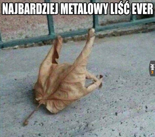 Metalowy liść