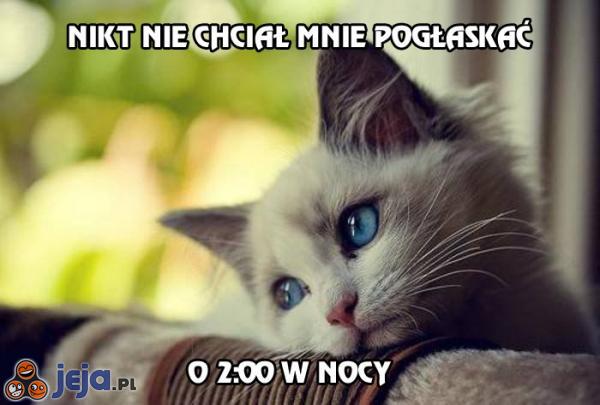 Nikt nie chciał mnie pogłaskać