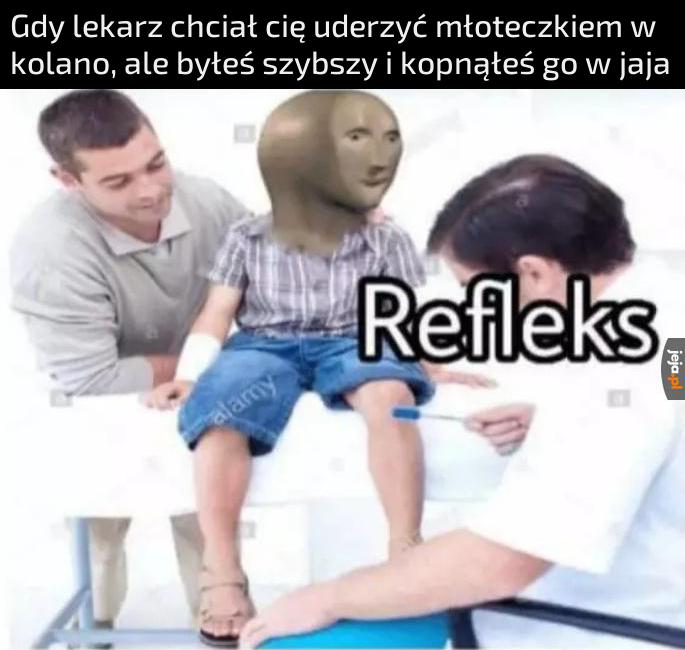 Ma się te kocie ruchy