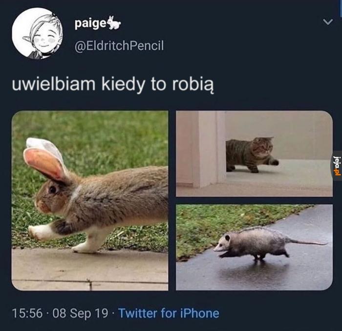 Uroczy chód