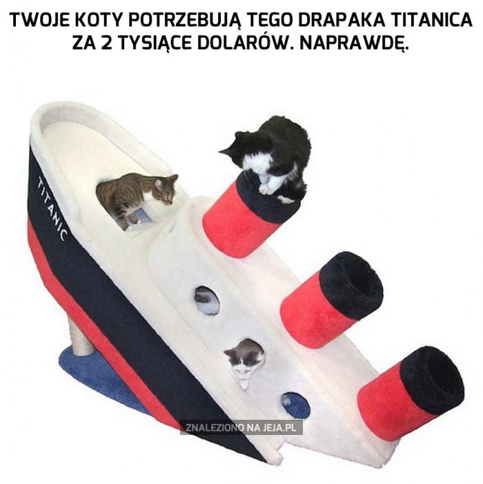 Titanic w sam raz dla Twoich kotów