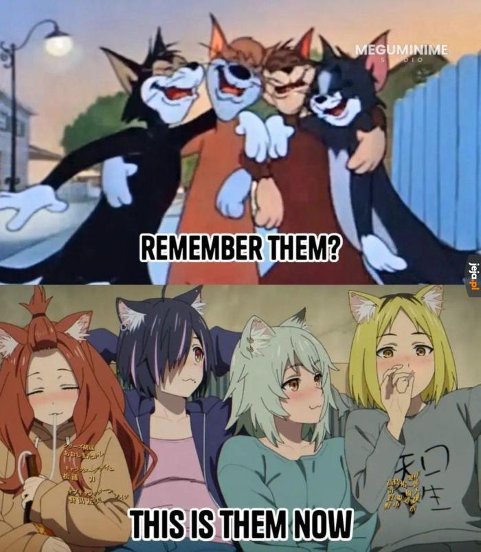 Coś, coś jako anime baby