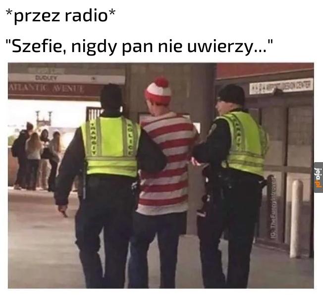 Pytania proszę