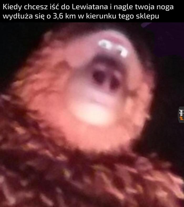 Do Lewiatana jeden krok!