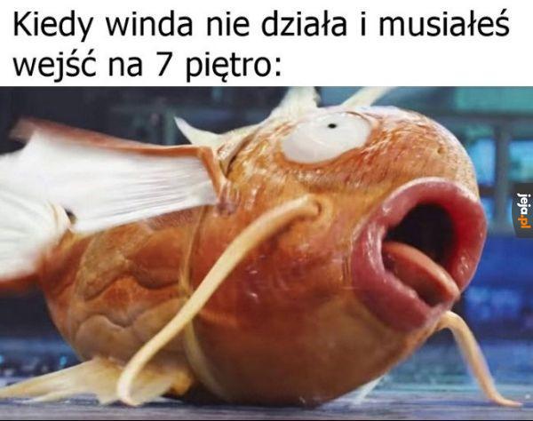 Ciężko