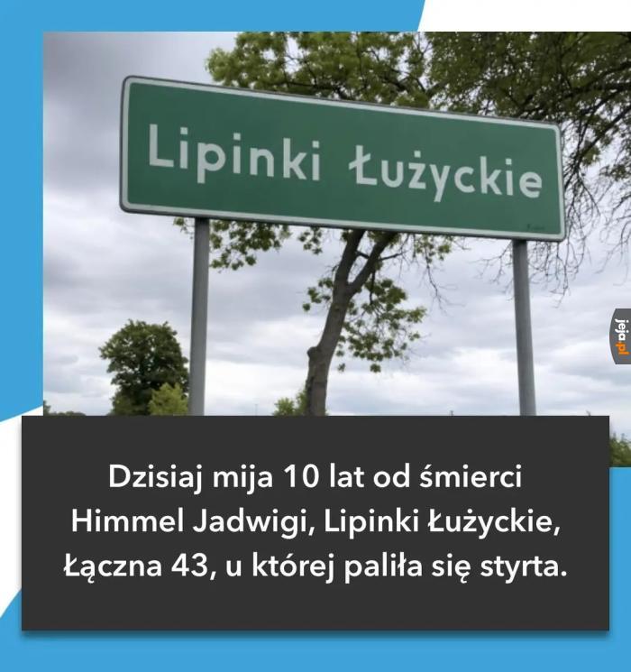 Syna nie ma w domu