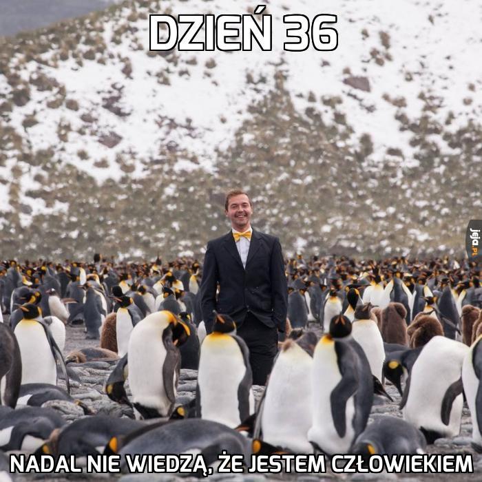 Kamuflaż idealny