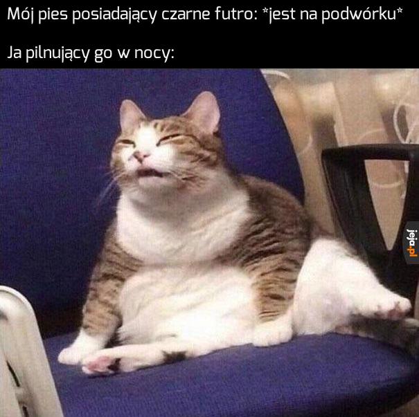 Gdzie on jest?