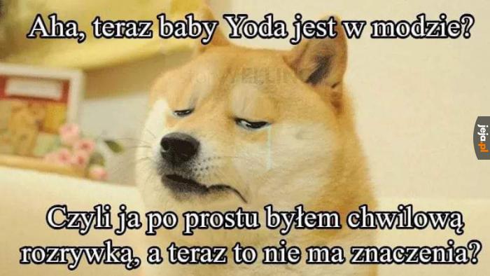 Trochę szkoda pieseła
