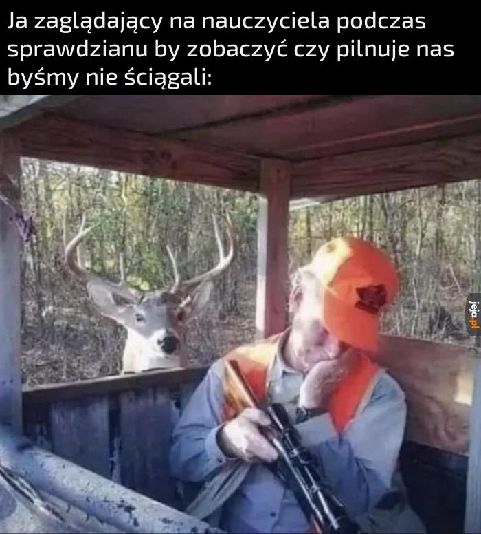Dobra, szybka akcja i szósteczka