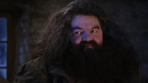 Biedny Hagrid