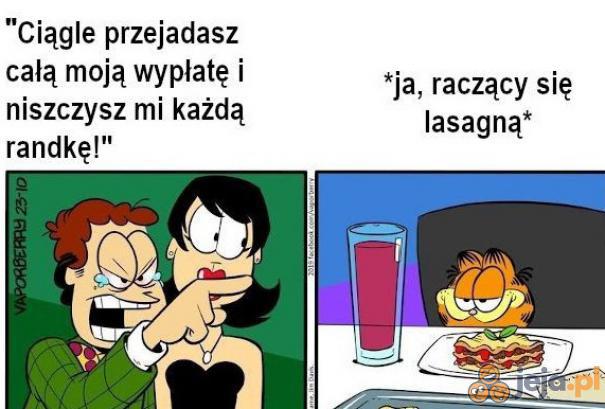 Garfield idealnie odwzorowuje tego mema