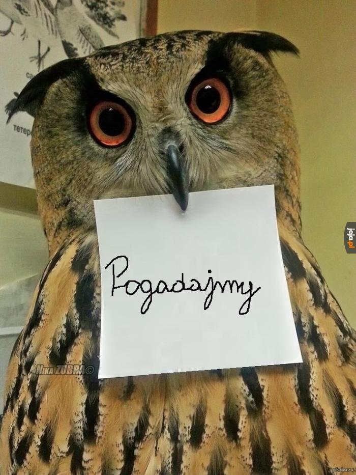 Pogadajmy