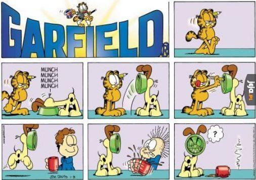Garfield, czyli klasyk trollingu