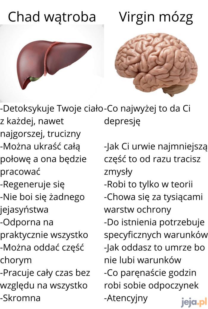 Wątroba rządzi